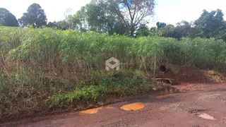 Terreno, foto 2
