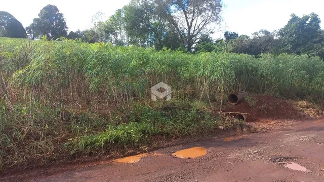 Terreno, foto 2