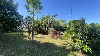 Casa com 3 dormitórios, foto 7