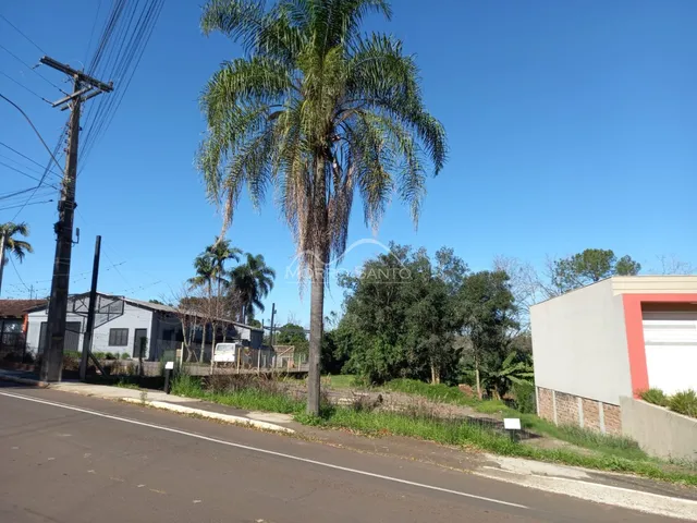Vista externa de uma rua com vegetação e uma palmeira em Lajeado, Brasil.