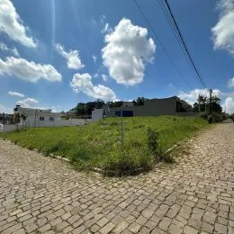 Vista externa de um pátio com pavimento de paralelepípedos e vegetação verde.