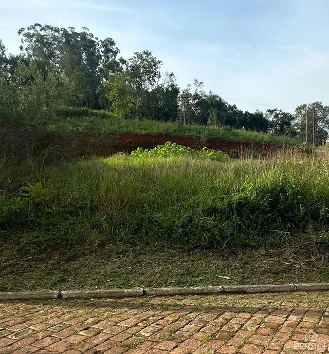 Terreno