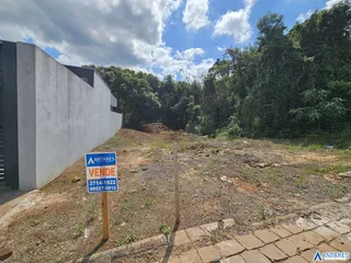 Terreno, foto 1