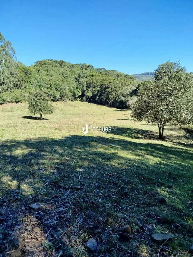 Campo gramado com árvores ao fundo em uma paisagem aberta.