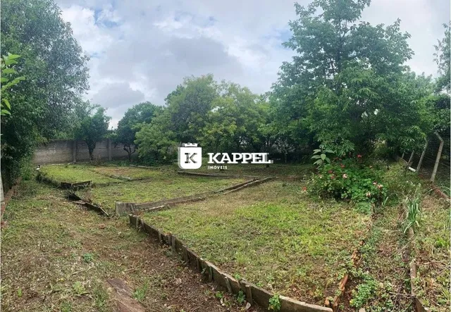 Vista externa de um terreno com vegetação rasteira e terra batida.