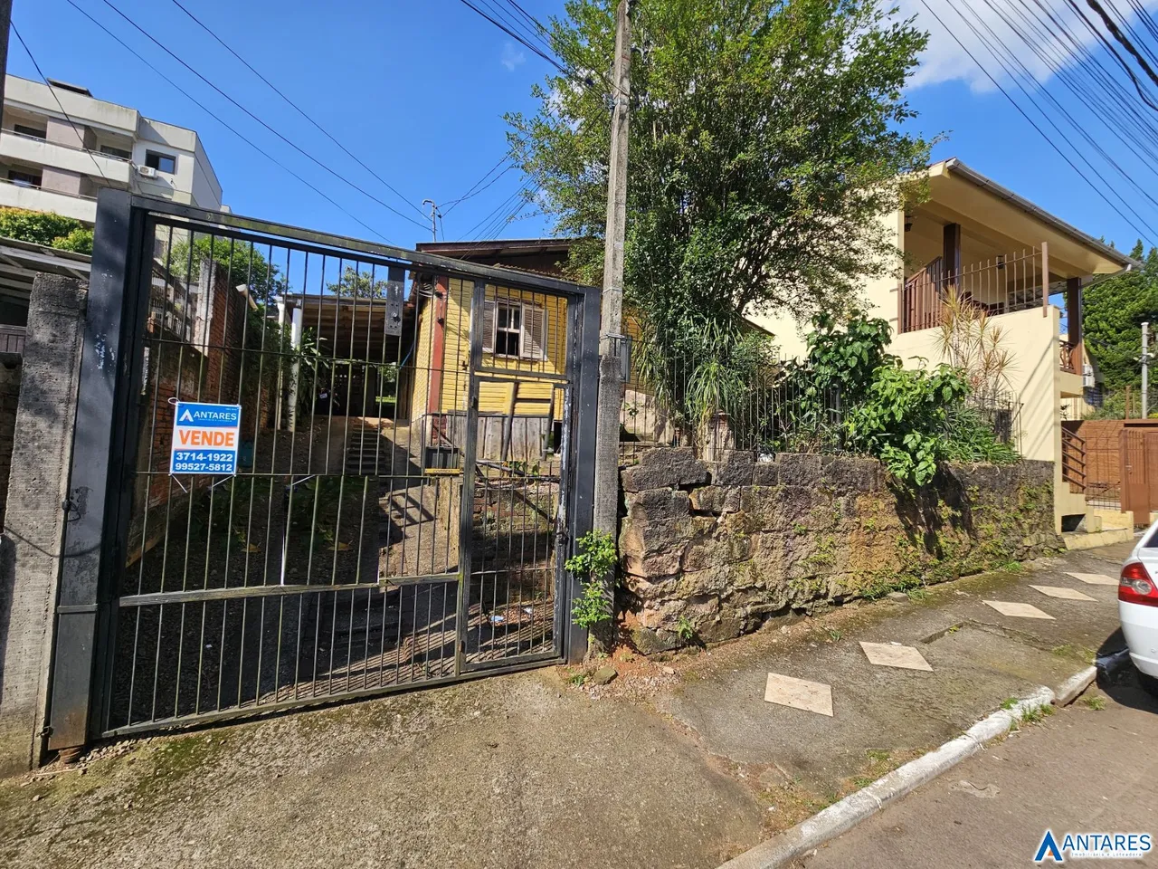 Terreno, foto 1