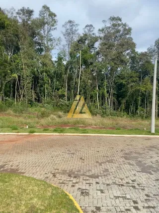 Terreno, foto 6
