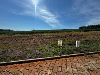 Terreno, foto 2