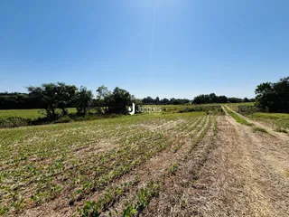 Área rural com 4 dormitórios, foto 28