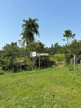 Paisagem de campo gramado com vegetação e árvores ao fundo.