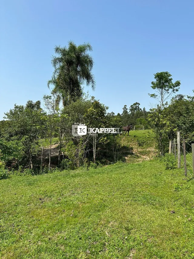 Paisagem de campo gramado com vegetação e árvores ao fundo.