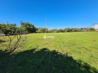 Campo gramado com vegetação ao fundo sob céu azul.