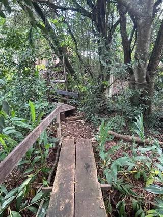 Área rural com 2 dormitórios, foto 5