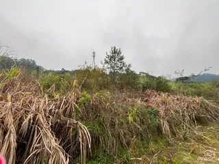 Área rural, foto 13