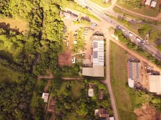 Vista aérea de uma área com vegetação densa.