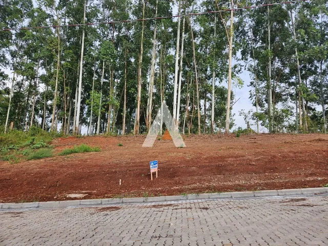 Terreno, foto 3