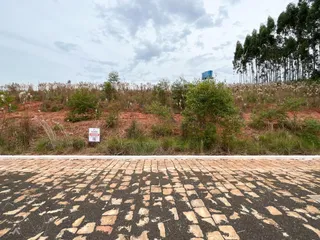 Terreno, foto 1