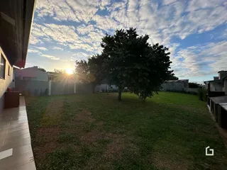 Quintal gramado com uma grande árvore sob um céu claro.