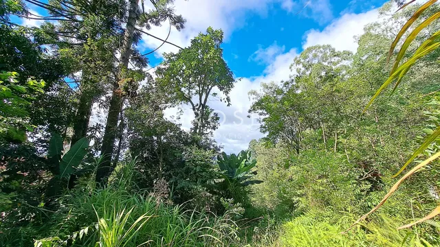 Área rural