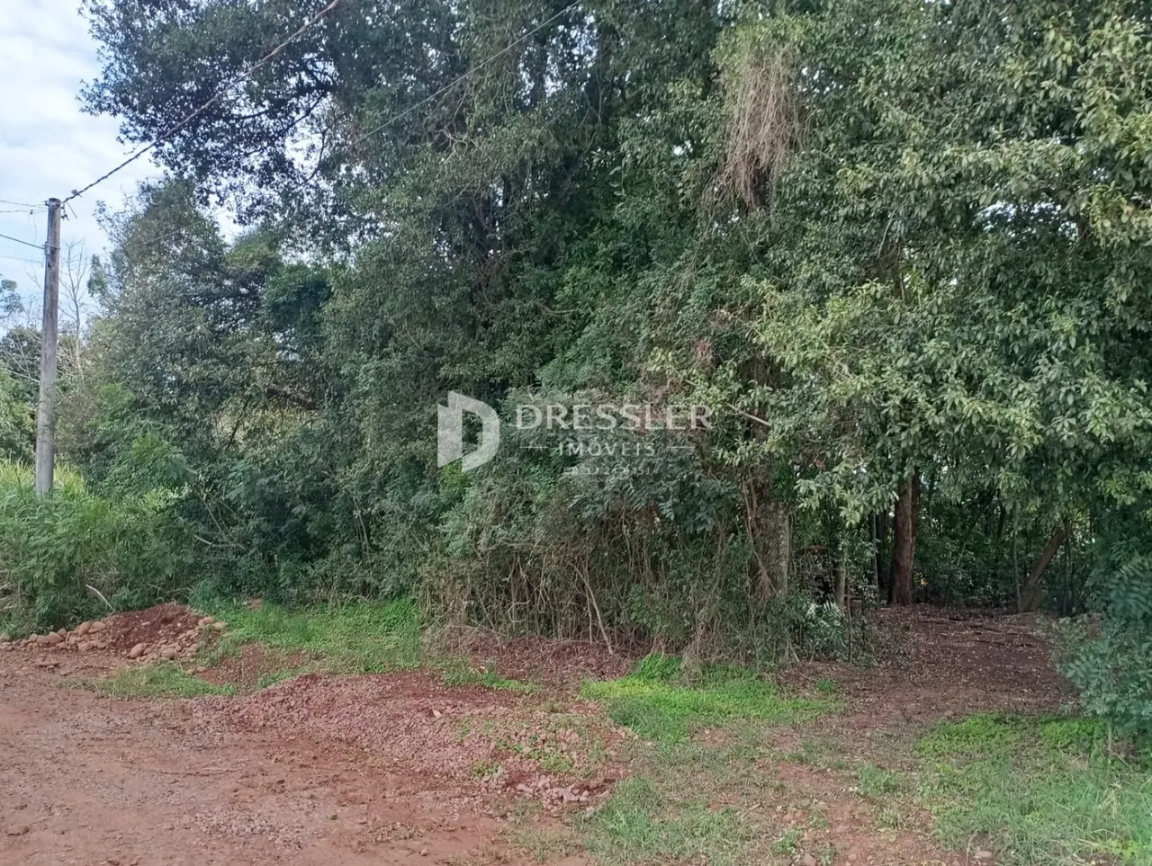 Terreno, foto 1