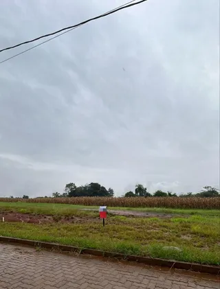 Terreno, foto 2