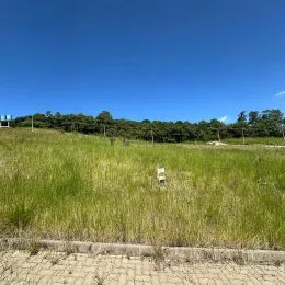 Terreno, foto 2