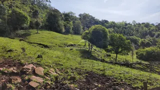 Vista de uma colina verde com vegetação densa ao fundo.
