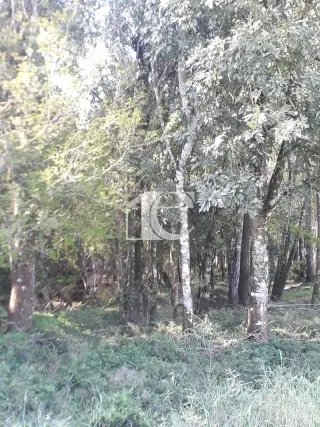 Área rural, foto 9