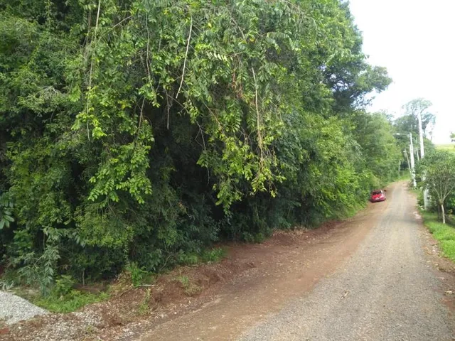 Terreno, foto 2