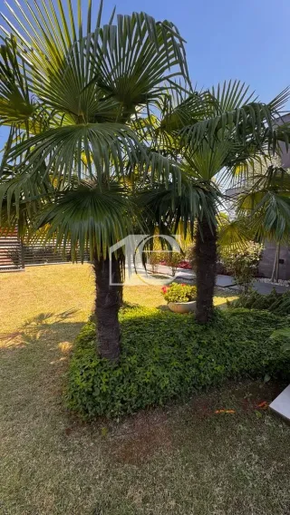 Casa com 3 dormitórios, foto 7