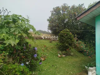 Área rural com 3 dormitórios, foto 5