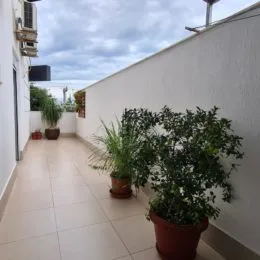 Vista de um pátio com plantas em um imóvel em Lajeado.