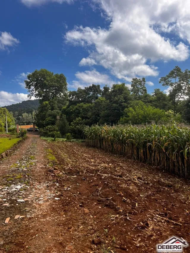Área rural, foto 2