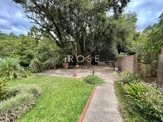 Vista externa de um jardim com gramado e vegetação densa.