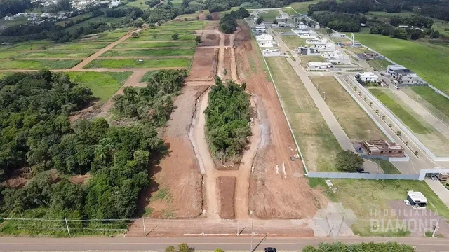 Terreno, foto 3