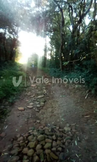 Área rural, foto 12