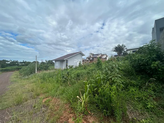Vista externa de uma propriedade em Lajeado, Brasil, cercada por vegetação densa.