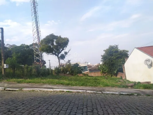 Terreno