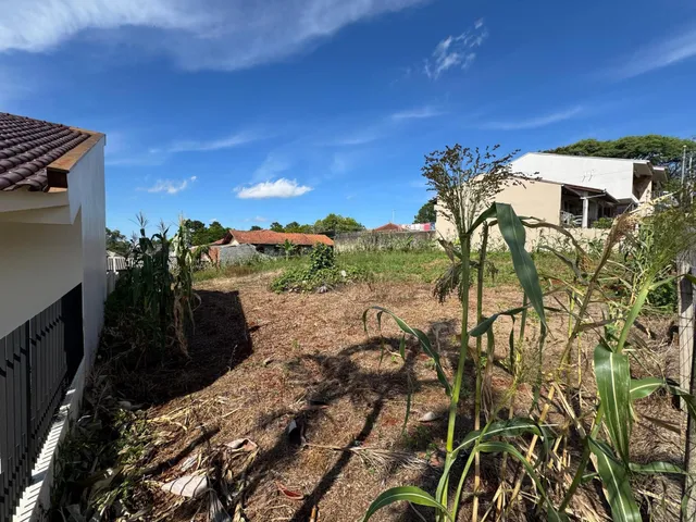 Foto de uma área externa com vegetação seca e solo exposto.