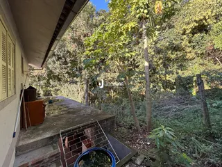 Vista externa de uma área com vegetação densa e estrutura de concreto.