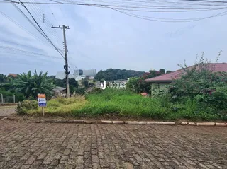 Vista da frente de um terreno com vegetação no primeiro plano.