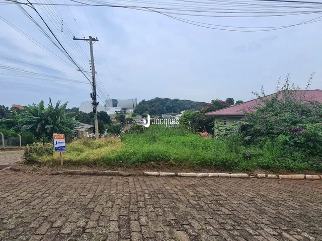 Vista da frente de um terreno com vegetação no primeiro plano.