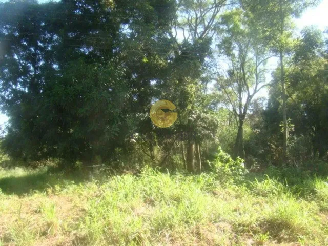 Imóvel, foto 5