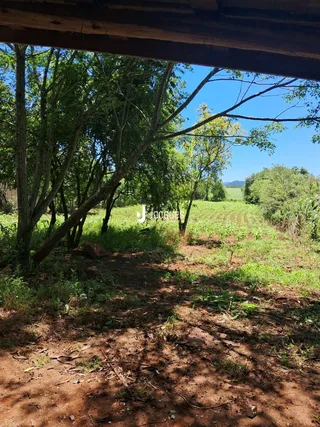 Paisagem de terra e vegetação com árvores no exterior.
