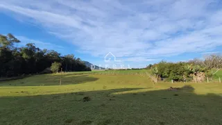 Área rural com 3 dormitórios, foto 9