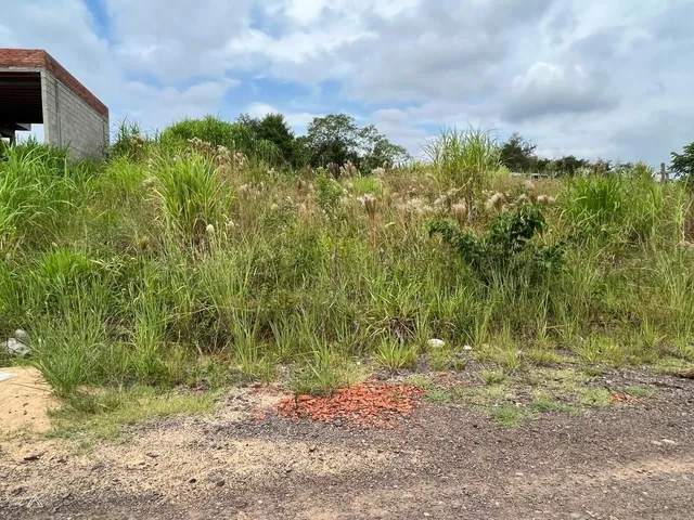 Terreno