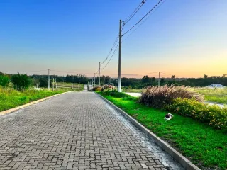 Terreno, foto 4