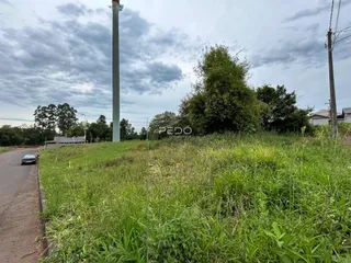 Vista externa de uma propriedade com vegetação densa e estrada no primeiro plano.