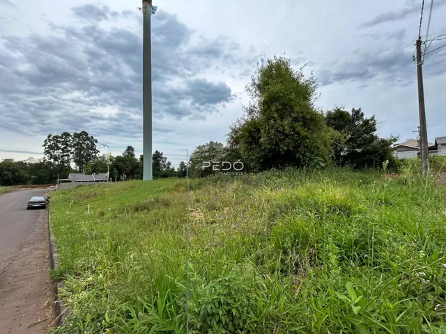 Vista externa de uma propriedade com vegetação densa e estrada no primeiro plano.