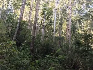 Imóvel, foto 6